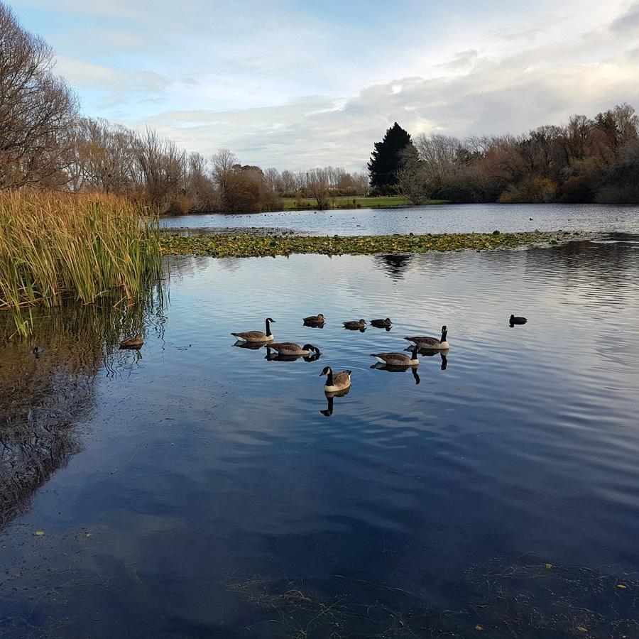 Courtenay B & B Kaiapoi Dış mekan fotoğraf